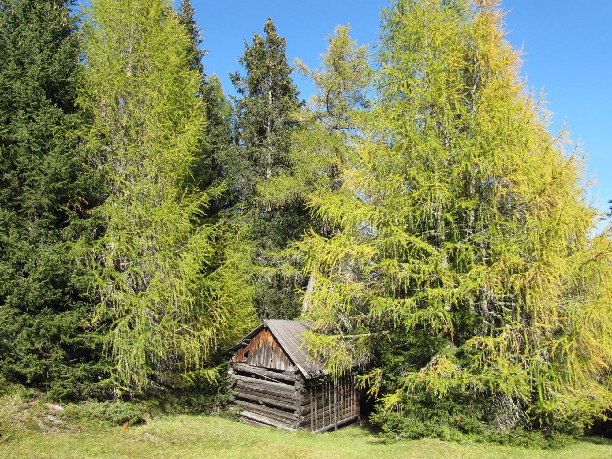 Pepis Ferienwohnungen Inklusive Sommercard Jerzens Exteriér fotografie
